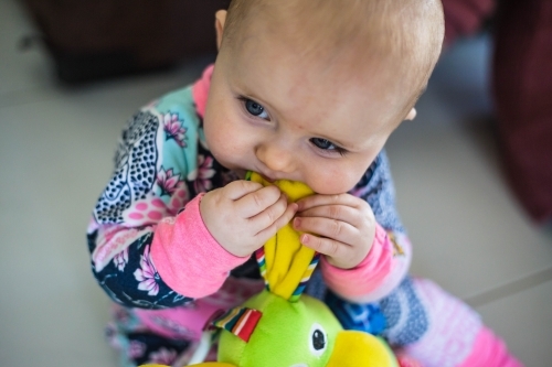 Baby holding toy and chewing - Australian Stock Image