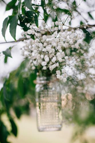 Baby's Breath flowers in a Jar - Australian Stock Image