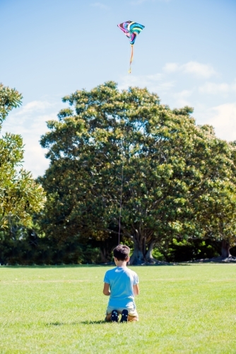 Back of a boy sitting on the ground in a park flying a kite. - Australian Stock Image