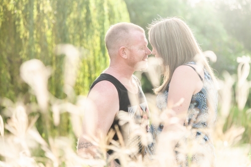 Backlit couple standing close together hidden behind grass - Australian Stock Image