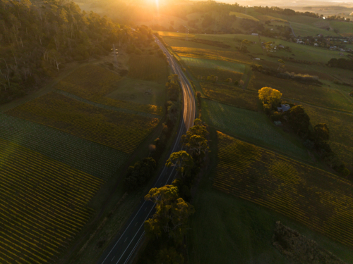 Backlit West Tamar Highway curving through vineyards in the Tamar Valley - Australian Stock Image