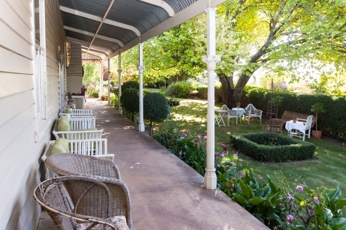 Backyard with garden of flowers and a big tree. - Australian Stock Image