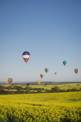 Ballooning over a canola crop in Avon Valley in Western Australia