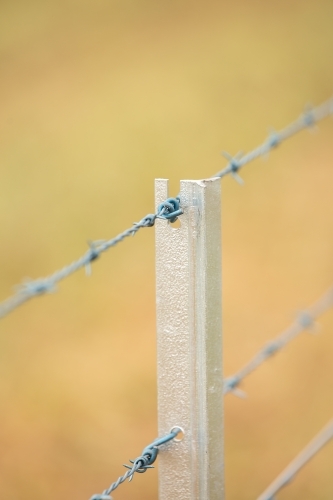 Barbed wire on a new fence - Australian Stock Image