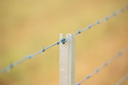 Barbed wire on a new fence post - Australian Stock Image