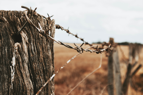 Barbwire fence - Australian Stock Image