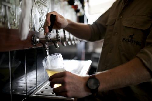 Bartender pouring drink on tap at local craft beer bar - Australian Stock Image