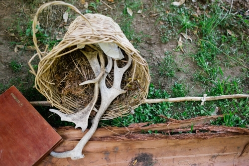Basket with horns - Australian Stock Image