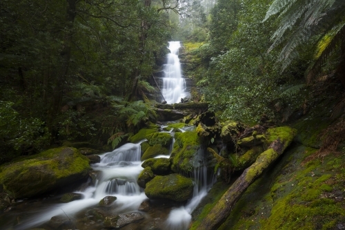 Bastion Cascades - Tasmania - Australian Stock Image