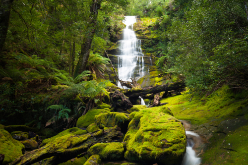 Bastion Cascades - Tasmania - Australian Stock Image