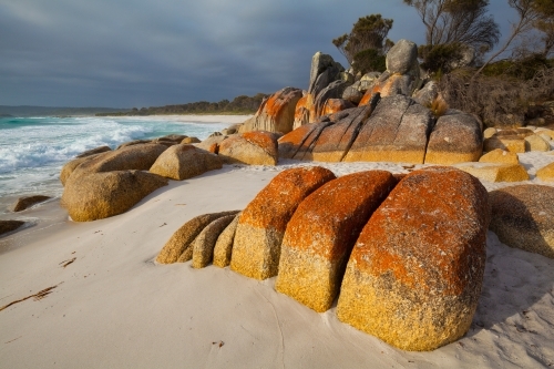 Bay of Fires - Tasmania - Australian Stock Image