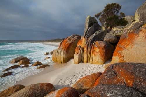 Bay of Fires - Tasmania - Australian Stock Image