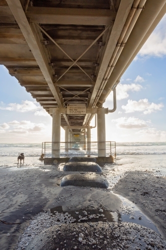 Beach - Australian Stock Image