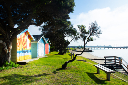 Beach boxes and grass by ocean in Blairgowrie - Australian Stock Image
