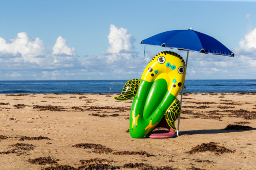 Beach, Budgie and Blue Brollie - Australian Stock Image