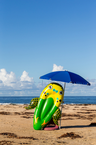 Beach, Budgie and Blue Brollie - Australian Stock Image