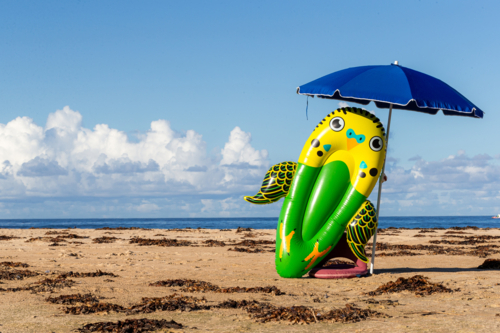 Beach, Budgie and Blue Brollie - Australian Stock Image