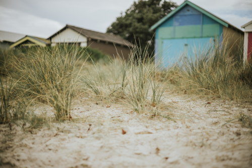 Beach houses huts in Edithvale melbourne Victoria focus on dune grass - Australian Stock Image