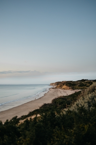 Beach landscape