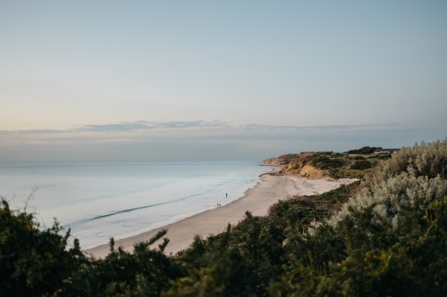 Beach landscape