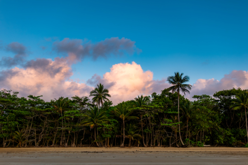 Beach scene at sunset with palm trees and clouds - Australian Stock Image