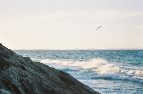 Beach Sunset Over The Rocks With Bird - Australian Stock Image