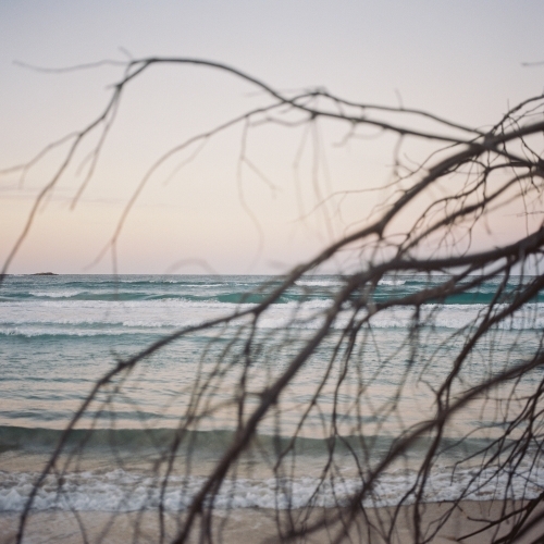Beach Sunset Through Branches - Australian Stock Image
