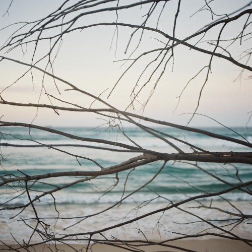 Beach Sunset Through Branches - Australian Stock Image