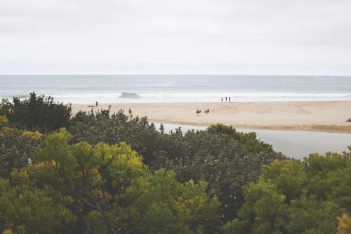 Beach view with bushes in the foreground - Australian Stock Image