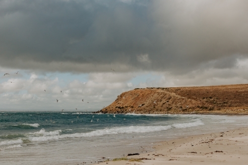 Beach with cliffs with a stormy sky and birds flying - Australian Stock Image