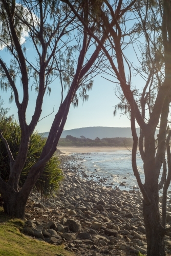 Beach with trees and rocks - Australian Stock Image