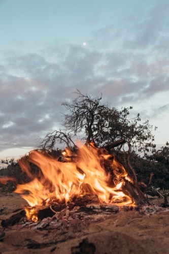 Beachside bonfire at dusk - Australian Stock Image