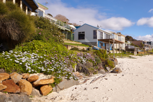 Beachside shacks and flowers in NW Tasmania - Australian Stock Image