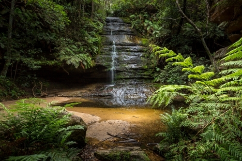 Beautiful light at Pool of Siloam Blue Mountains, Australia - Australian Stock Image