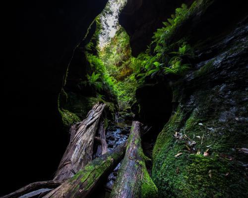 Beautiful narrow green mossy canyon in Blue Mountains National Park - Australian Stock Image