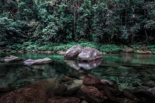 Beautiful swimming hole in the rainforest