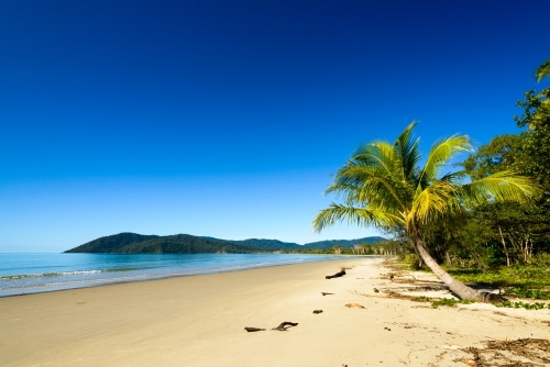 Beautiful, tranquil, tropical beach scene with palm tree and dark blue sky - Australian Stock Image