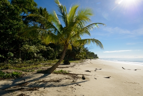 Beautiful tropical beach scene with palm tree, blue sky and lens flare