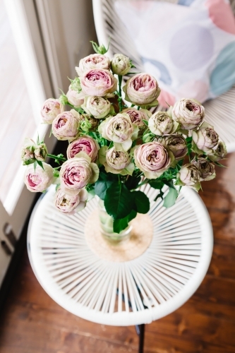 Beautiful vase of vintage style cabbage roses in a contemporary home - Australian Stock Image