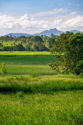 View of countryside with vibrant green grass and trees.