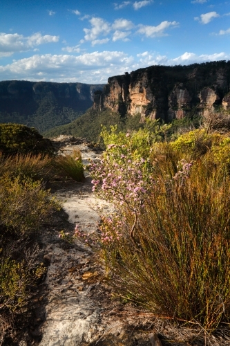 Beautiful views across the heathland bushes on the escarpment cliffs of Blue Mountains, Australia - Australian Stock Image