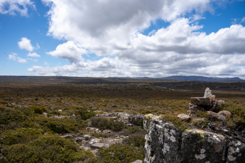 Ben Lomond National Park - Australian Stock Image