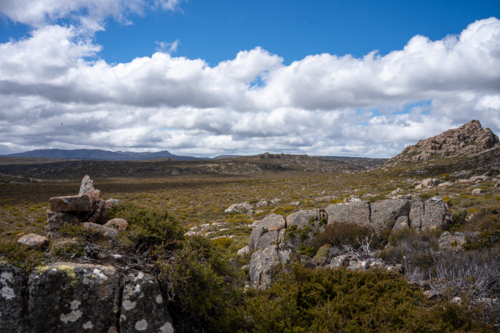 Ben Lomond National Park - Australian Stock Image