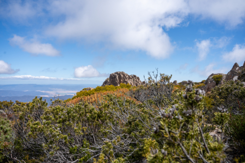 Ben Lomond National Park - Australian Stock Image