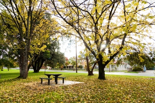 Bench and chair in park in autumn, Alex Stockwell Gardens - Australian Stock Image