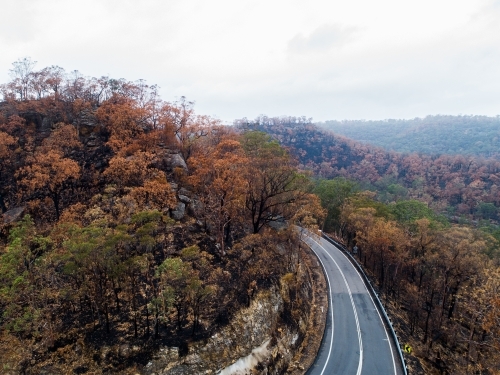 Bend in mountain road with burnt trees along the ridge lines after bushfire - Australian Stock Image