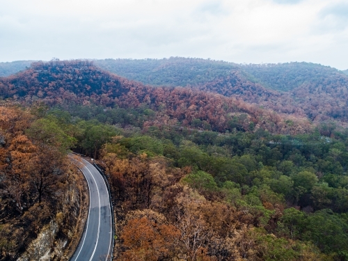 Bend in mountain road with burnt trees along the ridge lines after bushfire - Australian Stock Image