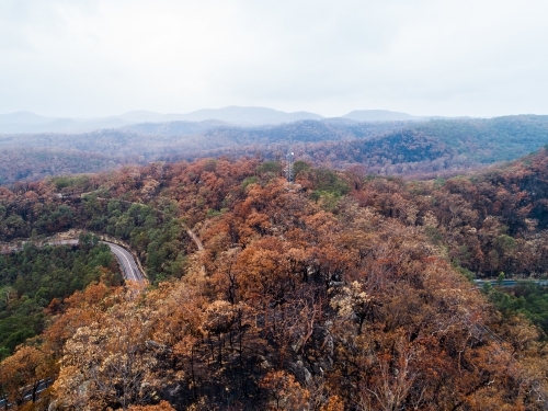Bend in mountain road with burnt trees along the ridge lines after bushfire - Australian Stock Image