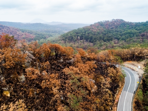 Bend in mountain road with burnt trees along the ridge lines after bushfire - Australian Stock Image