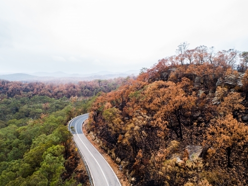 Bend in mountain road with burnt trees along the ridge lines after bushfire